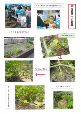 保育日記